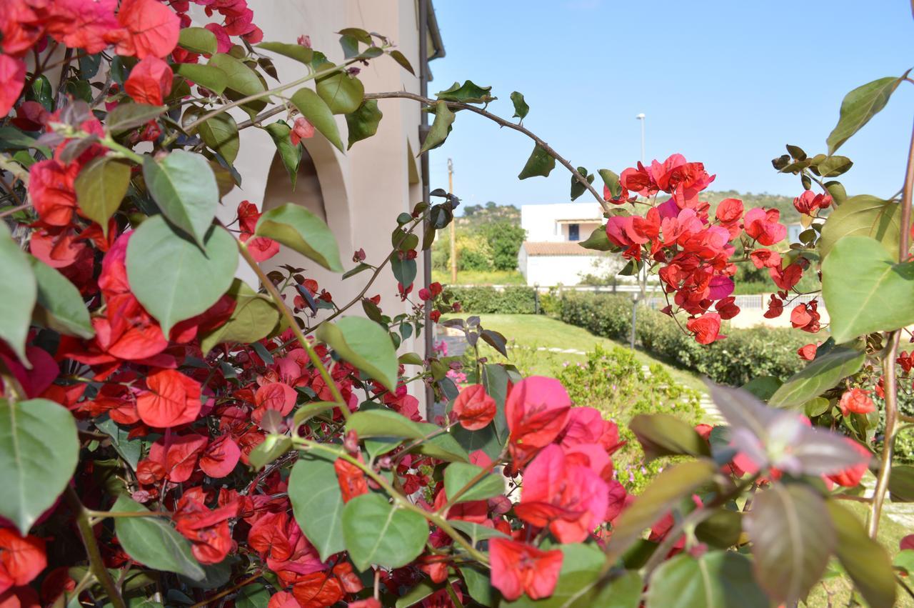 Guest Rooms Affittacamere ซาน เตโอโดโร ภายนอก รูปภาพ